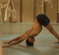 22.ADHO-MUKHA-SVANASANA