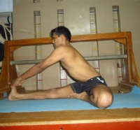 37.JANU-SIRSASANA